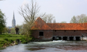 Salisbury meadows