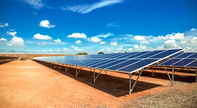 solar panel farm