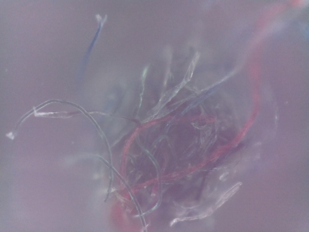 clothes fibre